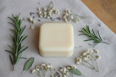 Conditioner bar botanicals